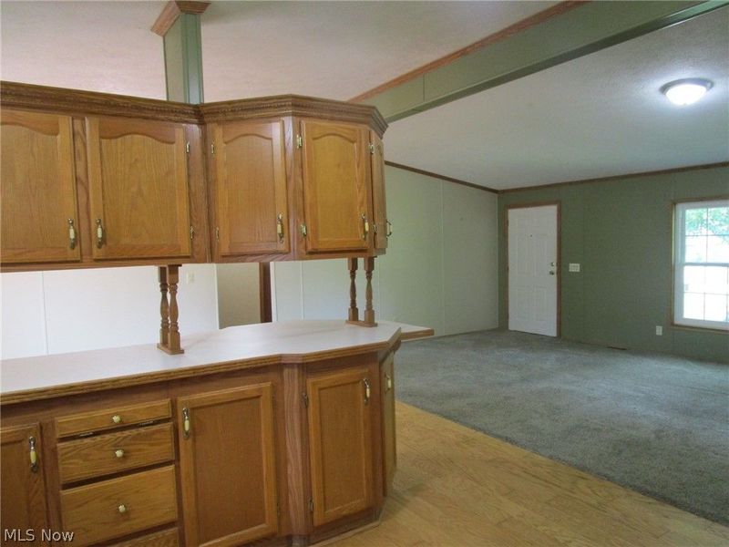 888 Long Shadow Lane, Roaming Shores, OH 44085 Photo 6