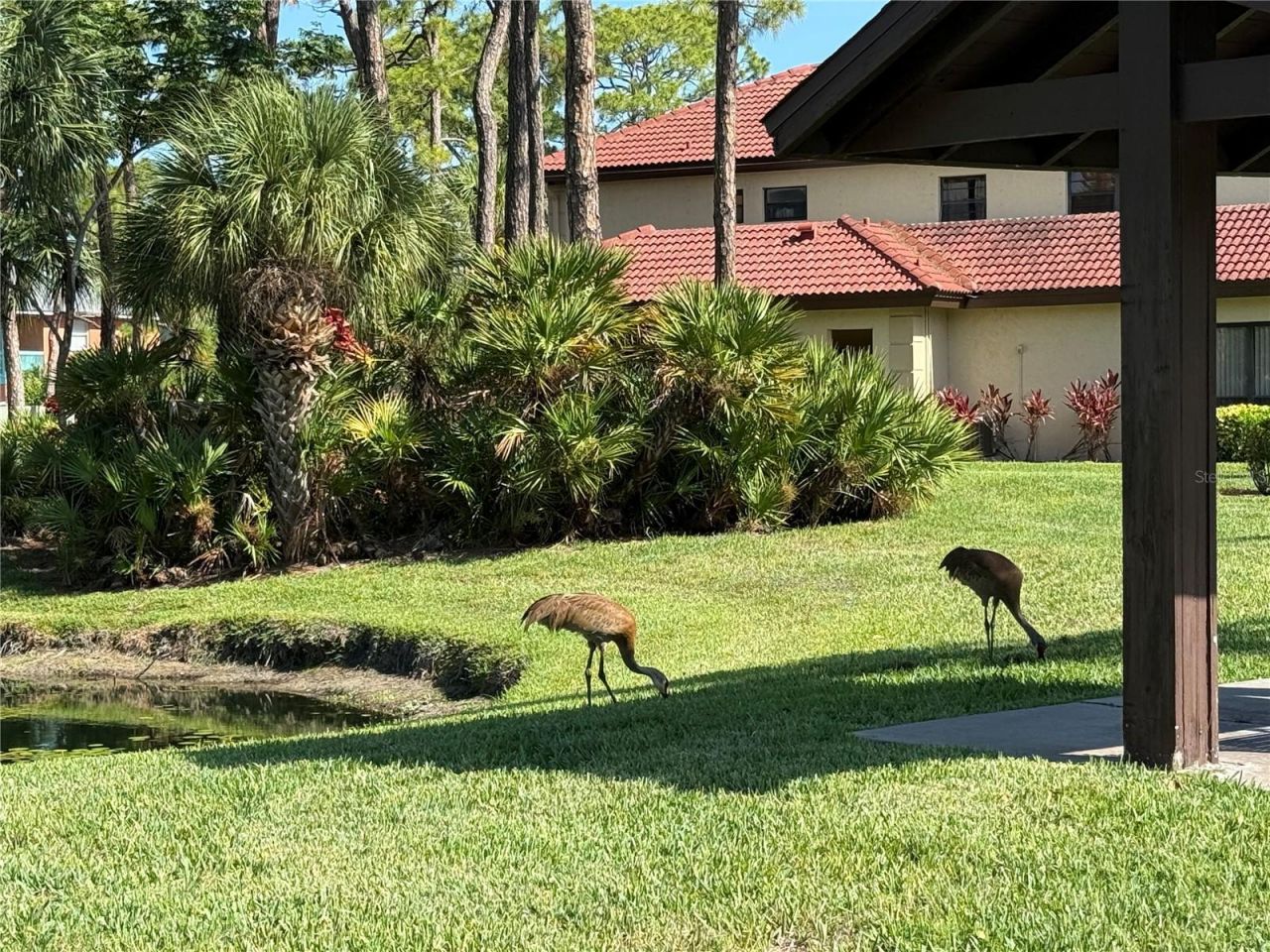 3637 Yellow Pine Court, Unit 146, Sarasota, FL 34238 Photo