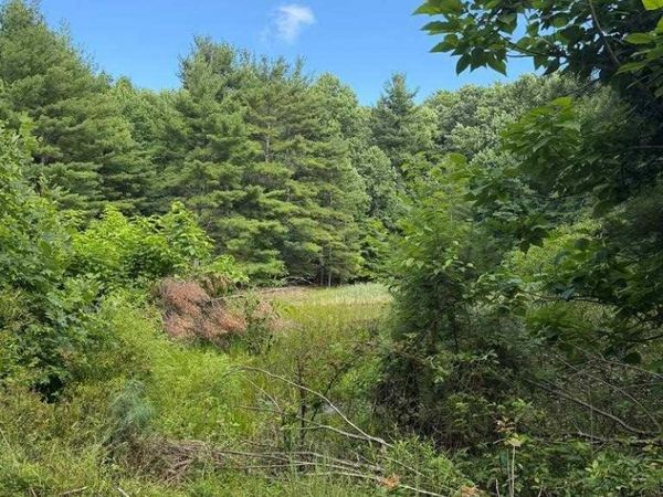 0 Cornbread Ridge, Princeton, WV 24739