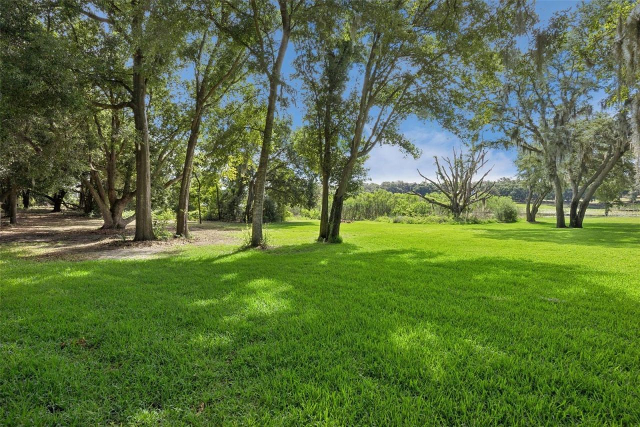 605 Old Mount Dora Road, Eustis, FL 32726 Photo