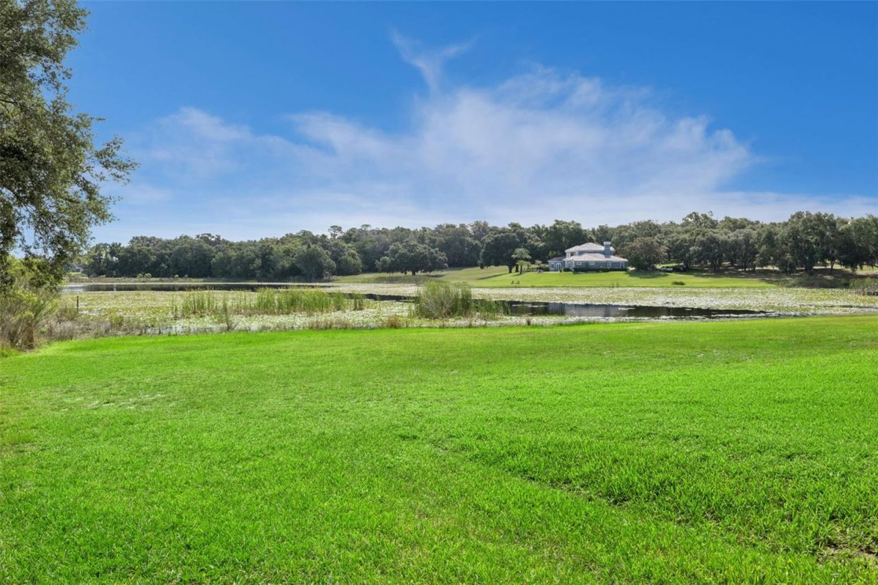 605 Old Mount Dora Road, Eustis, FL 32726 Photo
