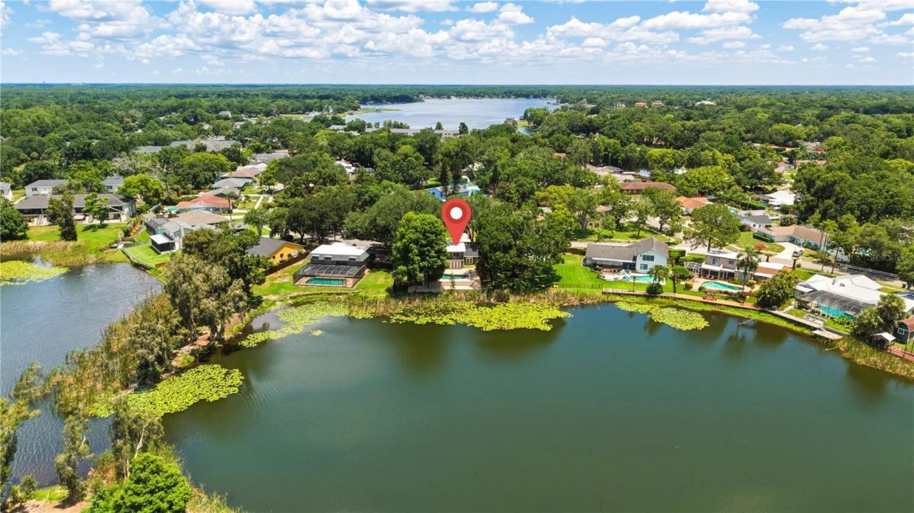 13512 Lake Magdalene Drive, Tampa, FL 33613 Photo