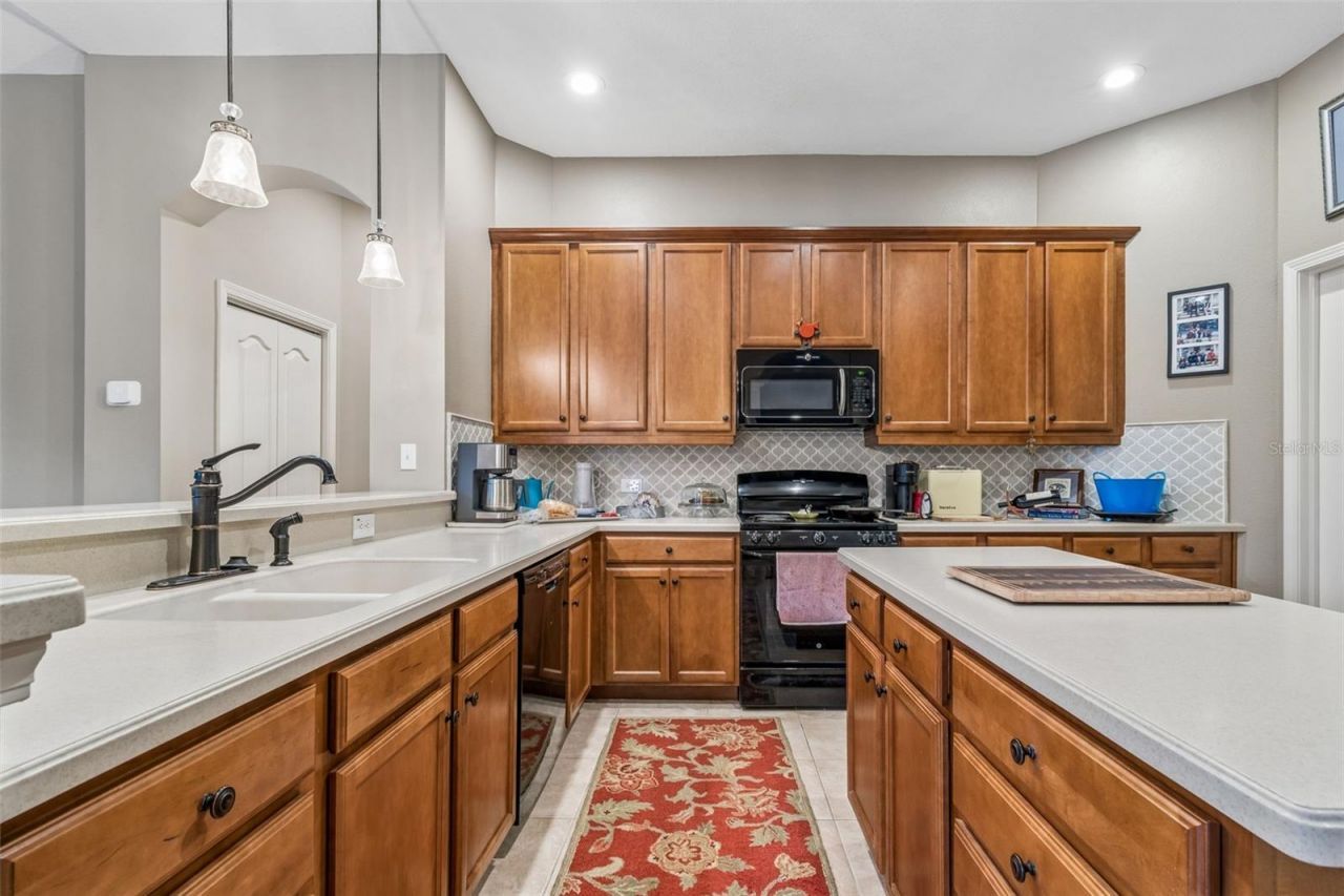 23305 Gracewood Circle, Land O Lakes, FL 34639 Photo