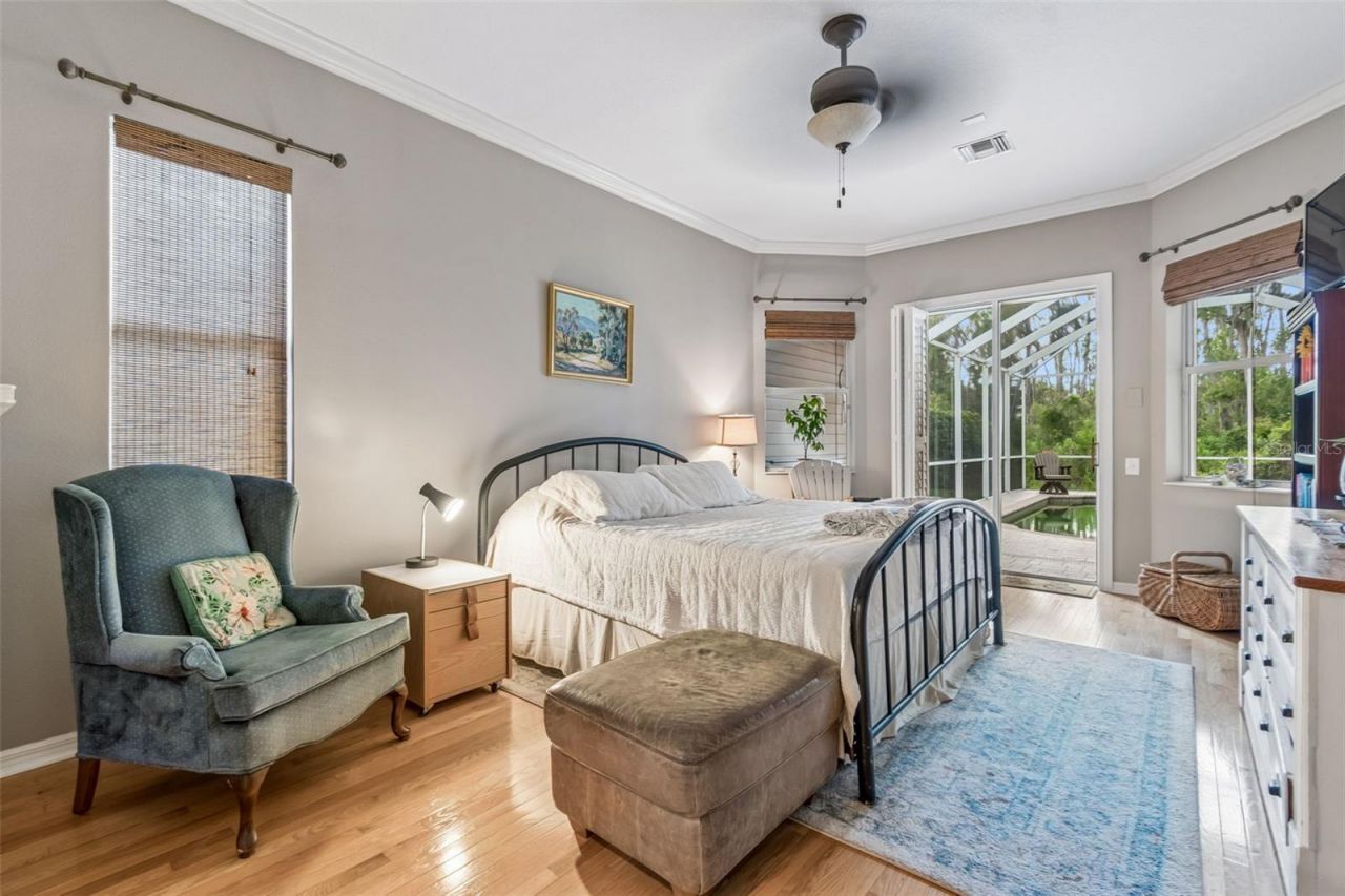 23305 Gracewood Circle, Land O Lakes, FL 34639 Photo