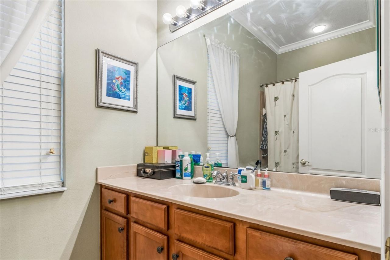 23305 Gracewood Circle, Land O Lakes, FL 34639 Photo