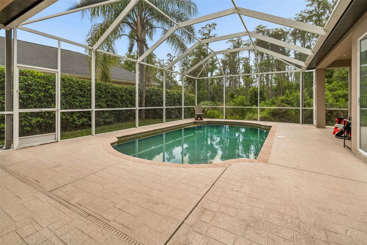 23305 Gracewood Circle, Land O Lakes, FL 34639 Photo