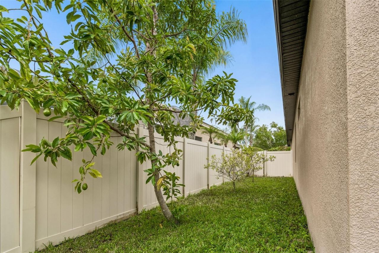 23305 Gracewood Circle, Land O Lakes, FL 34639 Photo