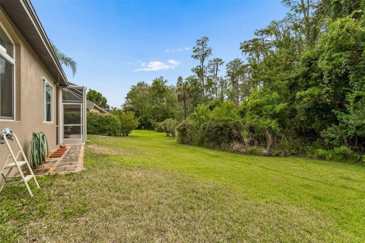 23305 Gracewood Circle, Land O Lakes, FL 34639 Photo