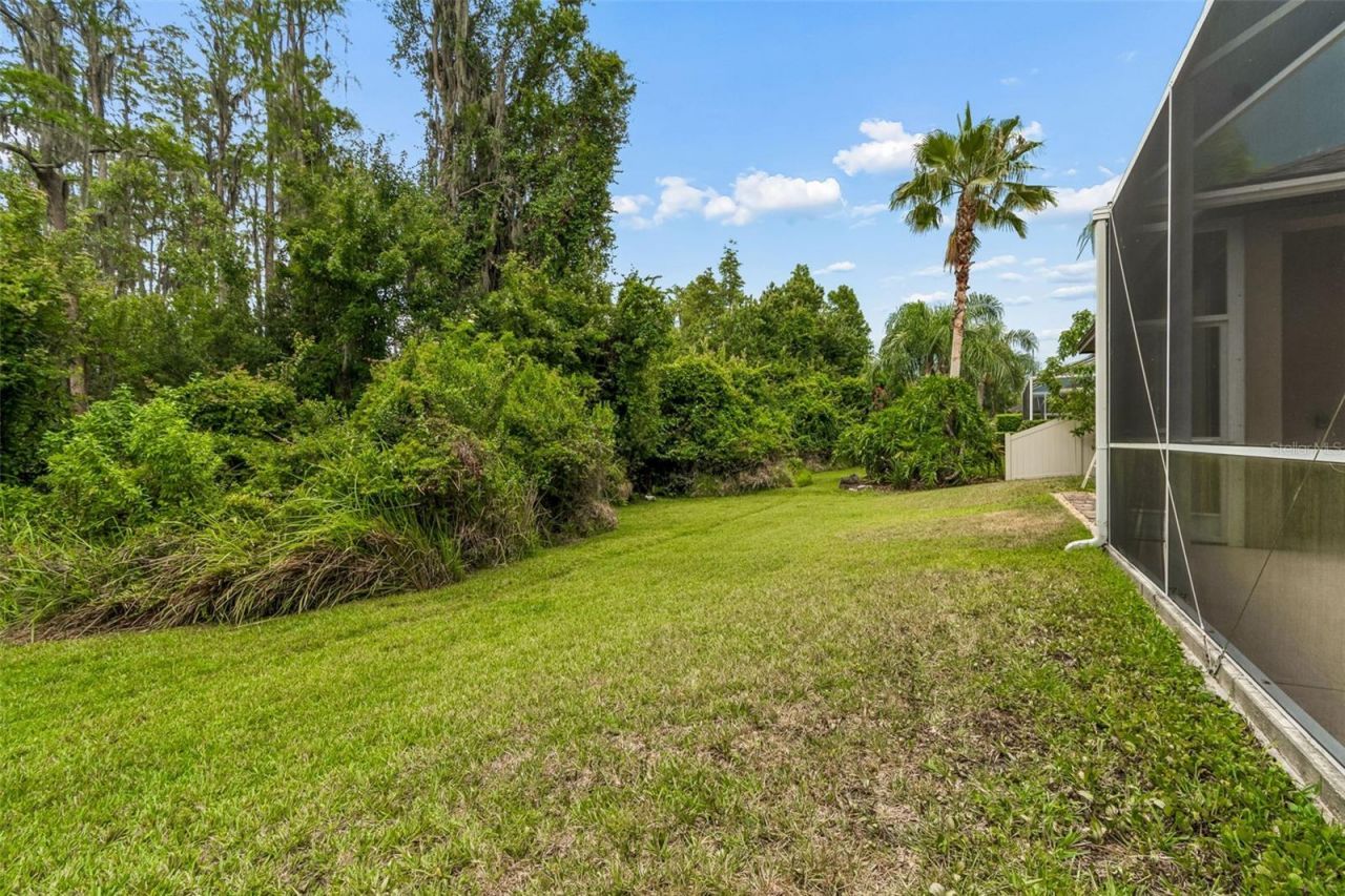 23305 Gracewood Circle, Land O Lakes, FL 34639 Photo