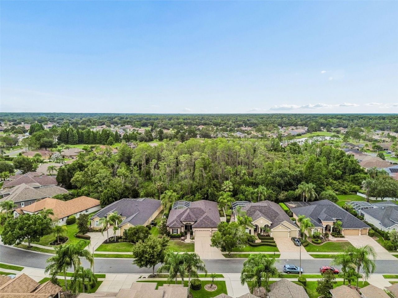 23305 Gracewood Circle, Land O Lakes, FL 34639 Photo
