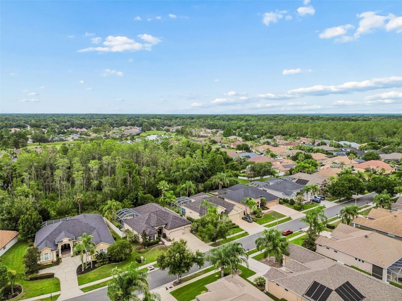 23305 Gracewood Circle, Land O Lakes, FL 34639 Photo