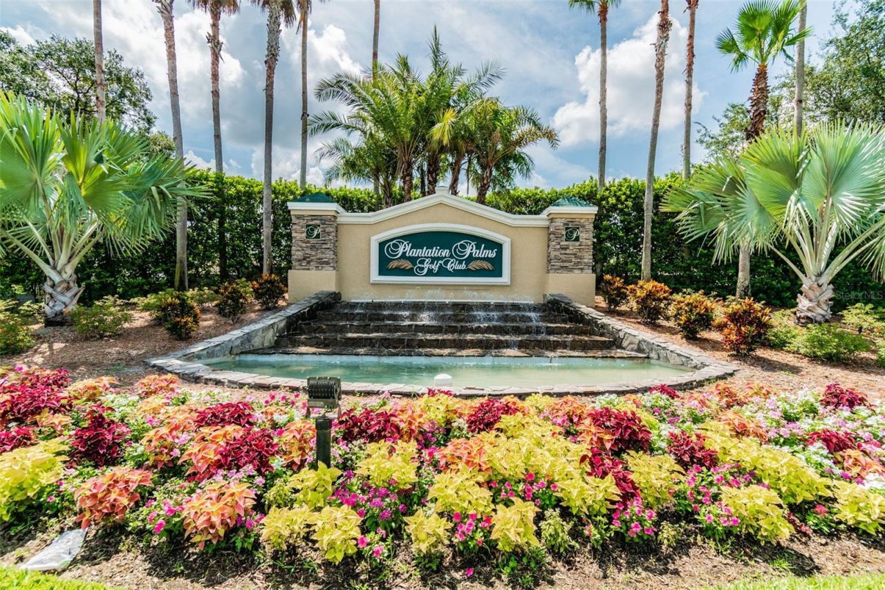 23305 Gracewood Circle, Land O Lakes, FL 34639 Photo