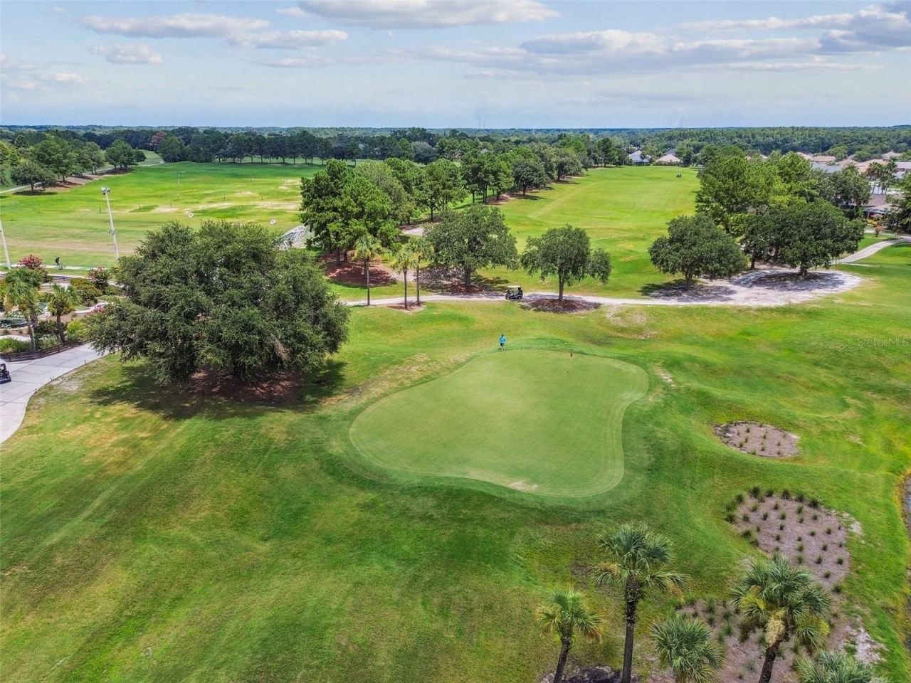 23305 Gracewood Circle, Land O Lakes, FL 34639 Photo