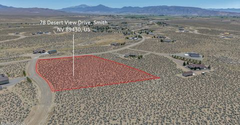 78 Desert View Drive, Smith Valley, NV 89430 Photo