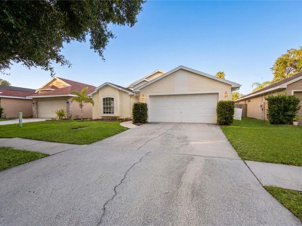 4532 PERDITA LANE , LUTZ, FL 33558
