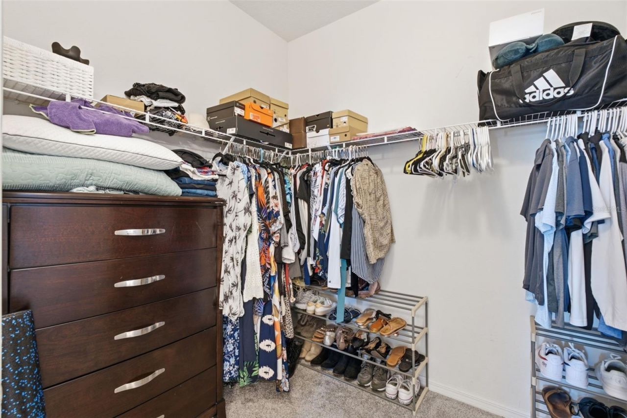 13237 Waterleaf Garden Circle, Riverview, FL 33579 Photo