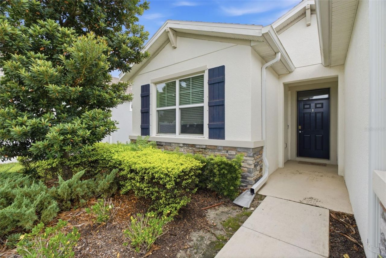 13237 Waterleaf Garden Circle, Riverview, FL 33579 Photo