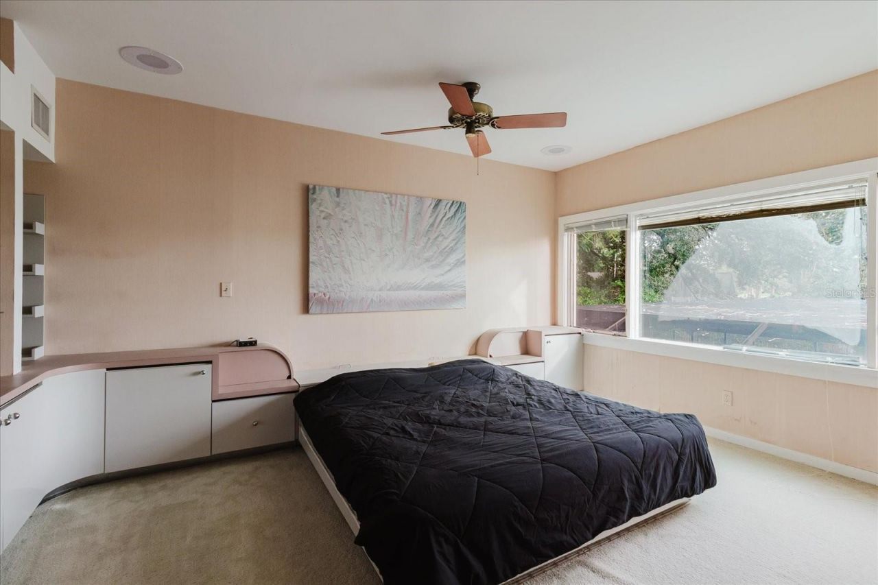 4404 Old Orchard Drive, Tampa, FL 33618 Photo