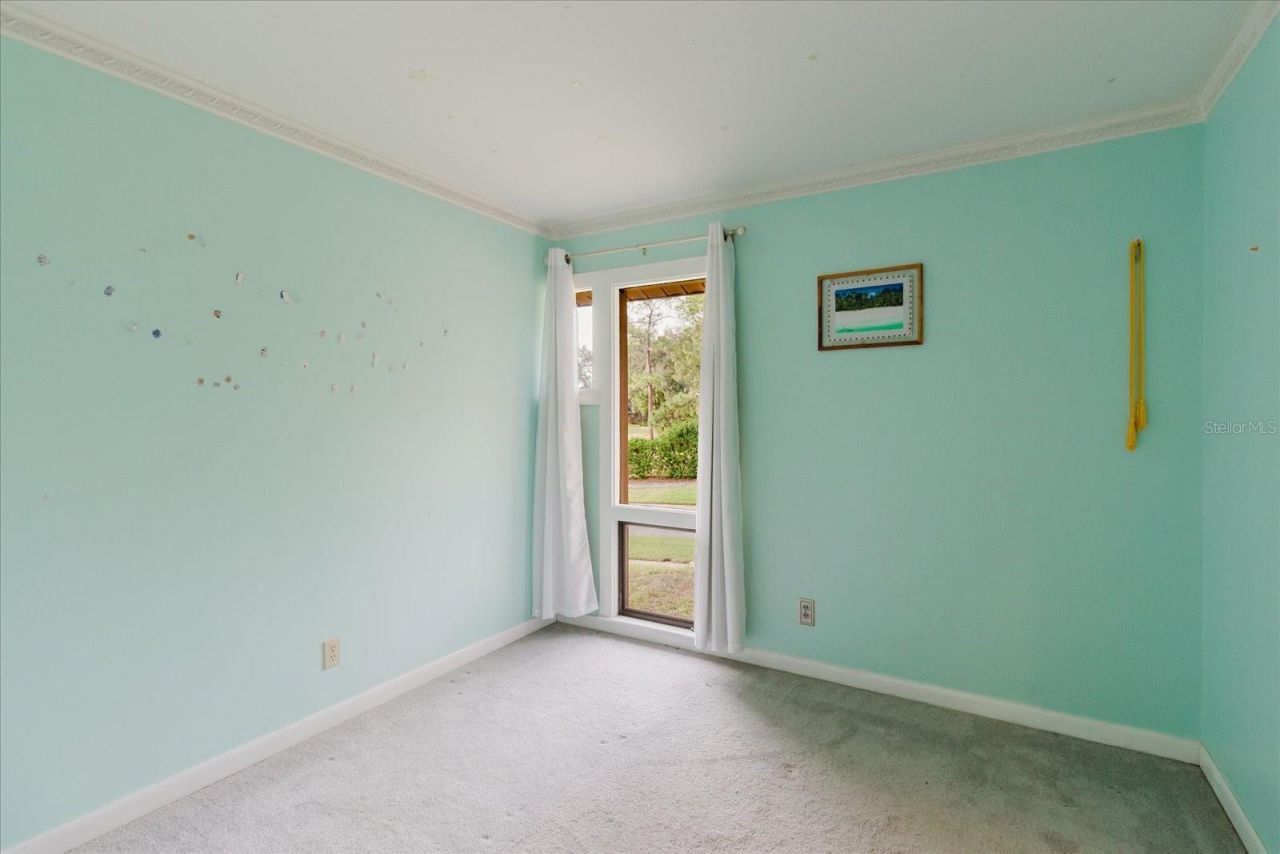4404 Old Orchard Drive, Tampa, FL 33618 Photo