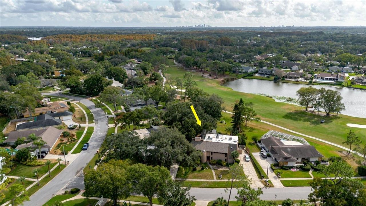 4404 Old Orchard Drive, Tampa, FL 33618 Photo