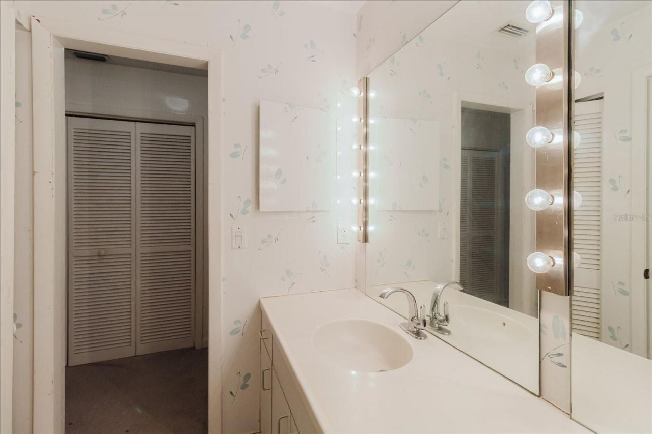 4404 Old Orchard Drive, Tampa, FL 33618 Photo