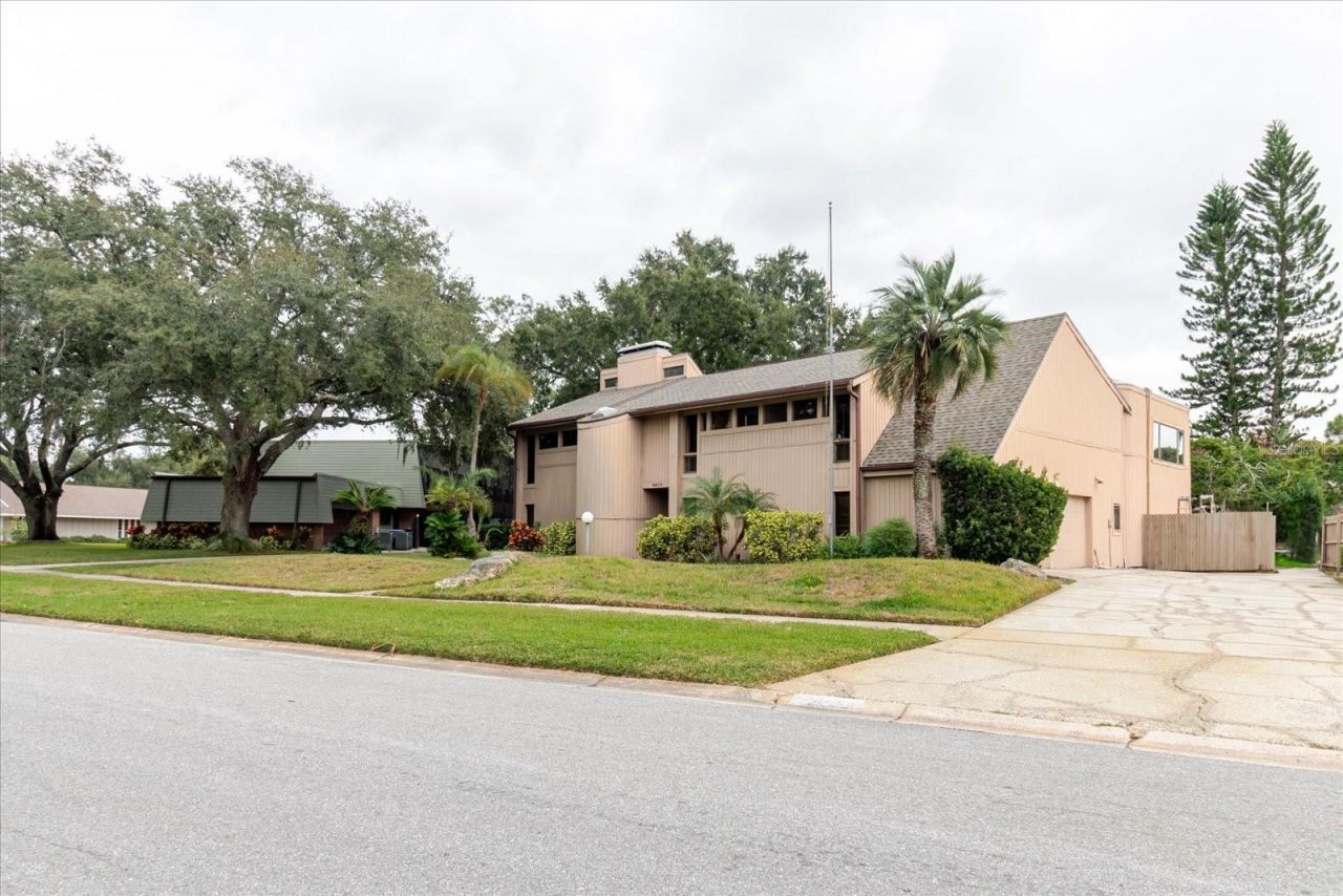 4404 Old Orchard Drive, Tampa, FL 33618 Photo
