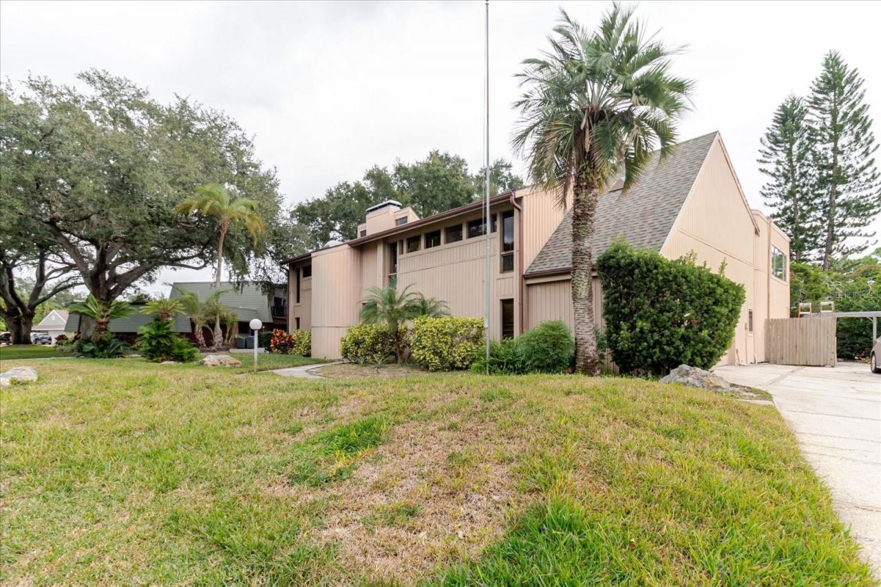 4404 Old Orchard Drive, Tampa, FL 33618 Photo