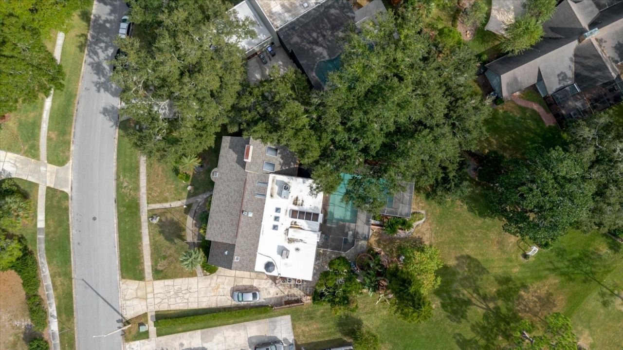 4404 Old Orchard Drive, Tampa, FL 33618 Photo