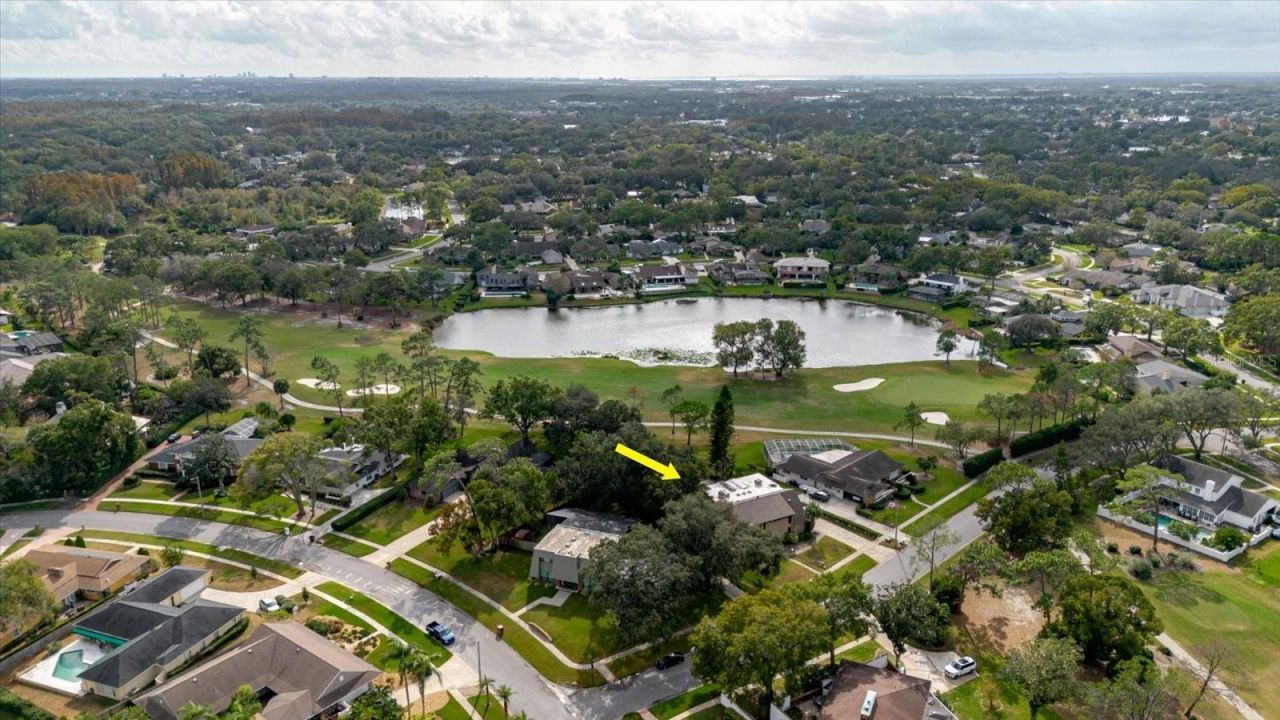 4404 Old Orchard Drive, Tampa, FL 33618 Photo