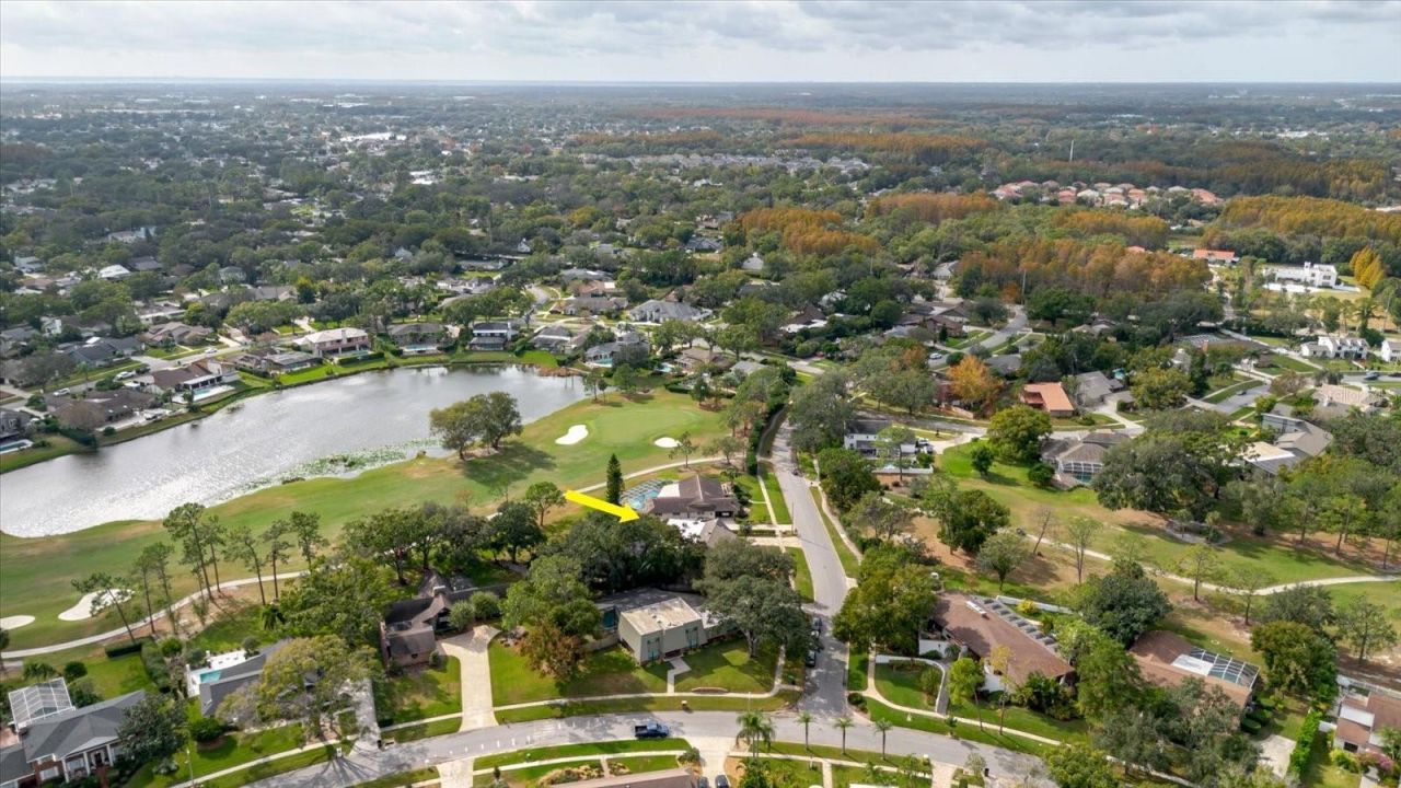 4404 Old Orchard Drive, Tampa, FL 33618 Photo