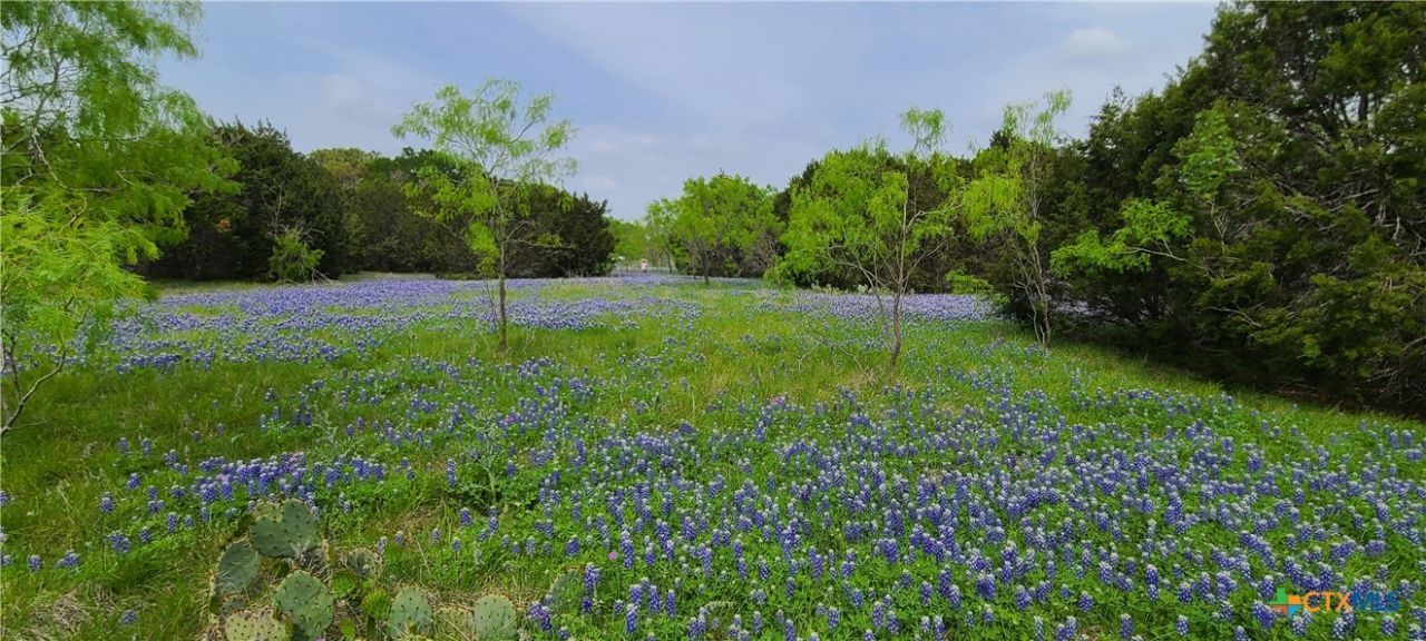 Tbd Us Hwy 190 E, Kempner, TX 76539 Main Photo
