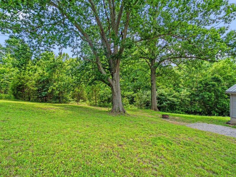 10279 U.S. 27, Berry, KY 41003 Photo 5