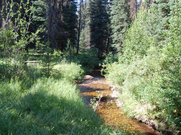 TBD Morell Road, McCall, ID 83638