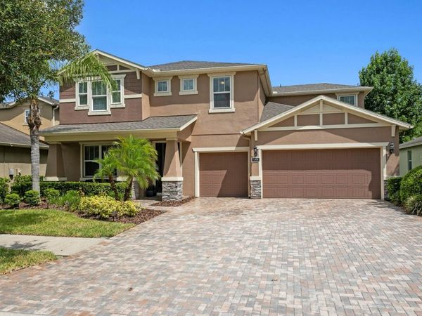 19406 BUTTERWOOD LANE , LUTZ, FL 33558