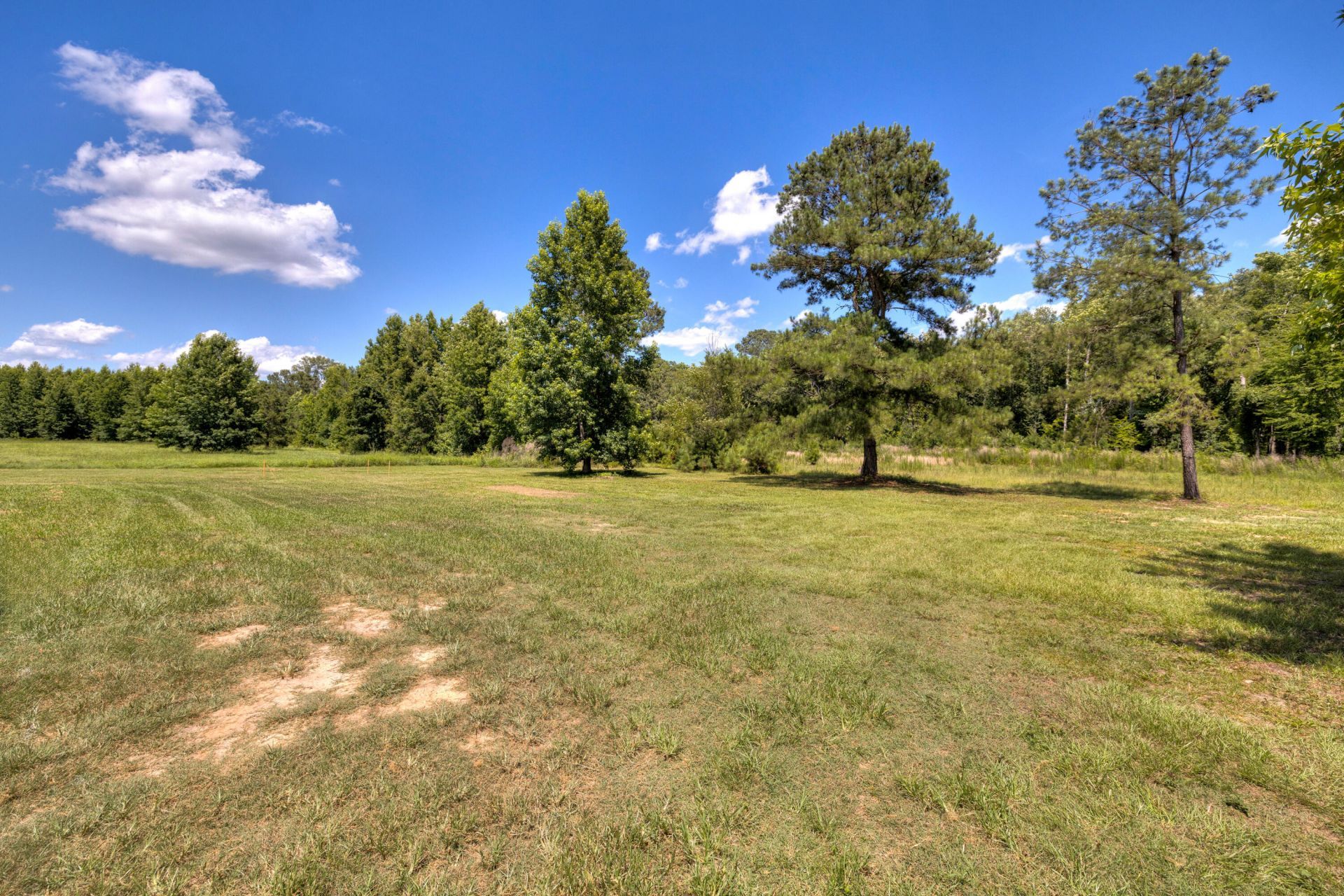 1646 Cleveland Street Photo 6