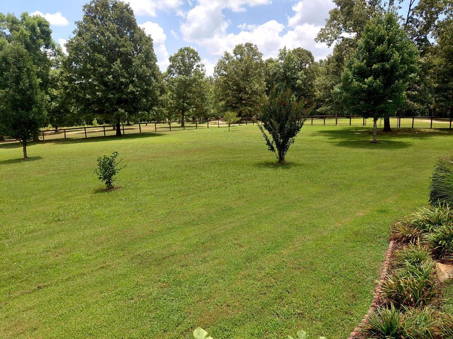 Property Image 63