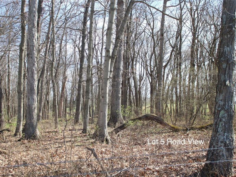 1474 Poindexter Road, Cynthiana, KY 41031 Photo 6