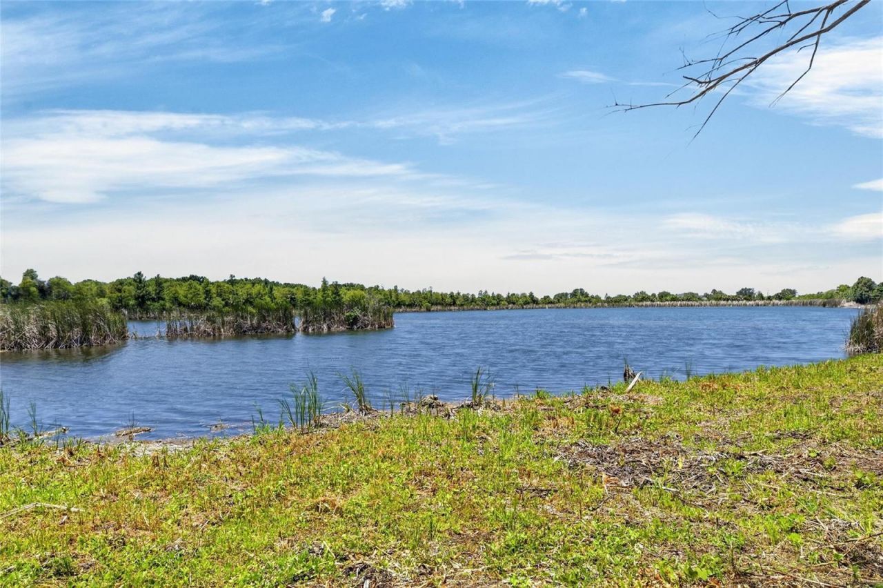 3016 Smilodon Trail, Ruskin, FL 33570 Photo