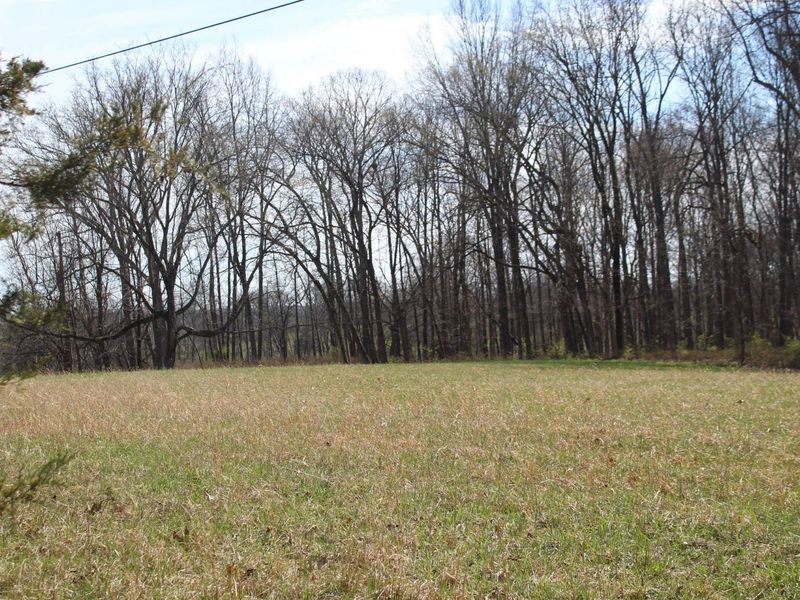1600 Poindexter Road, Cynthiana, KY 41031 Photo 6