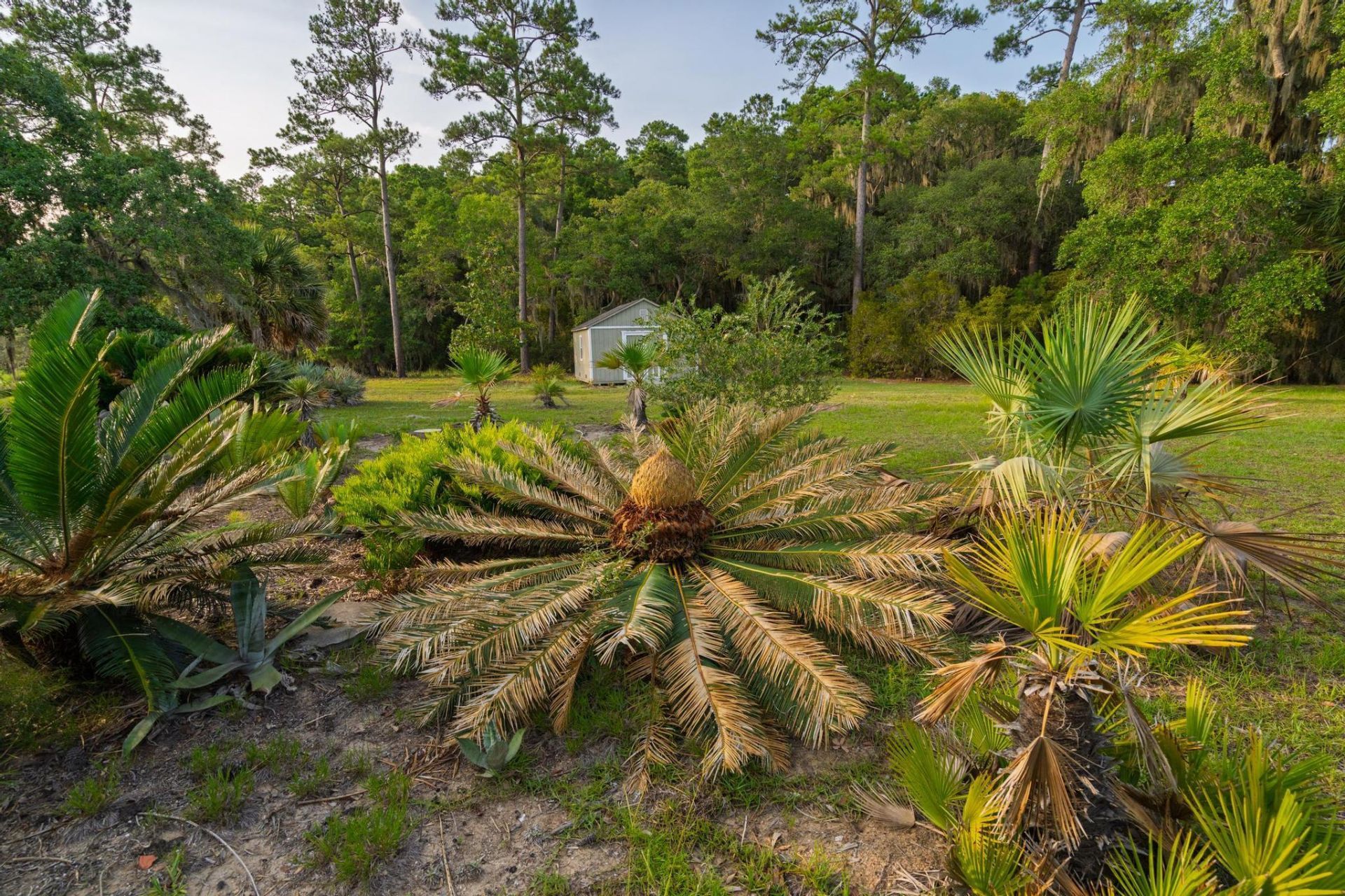 1513 Highway 174 Photo 28