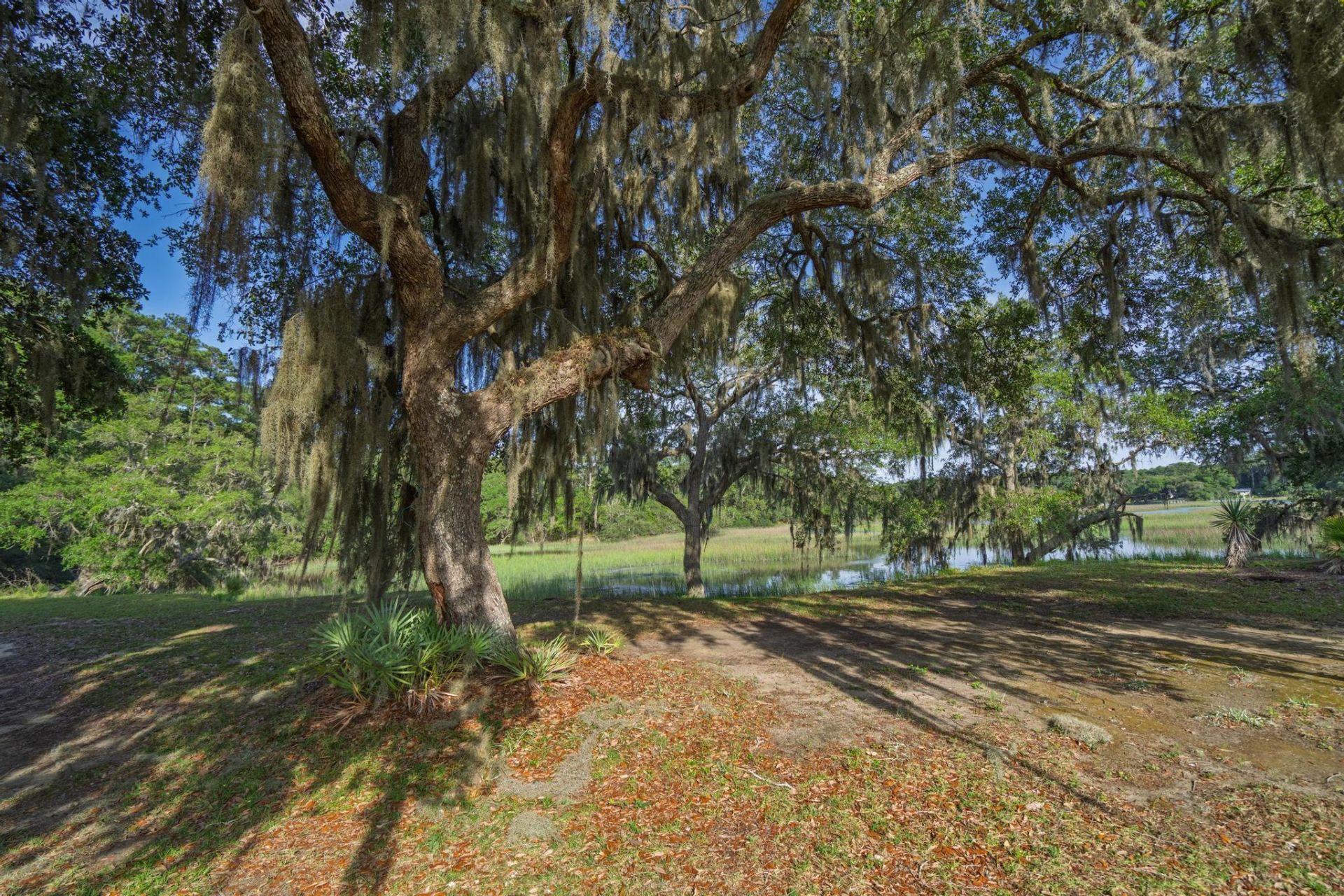 1513 Highway 174 Photo 47