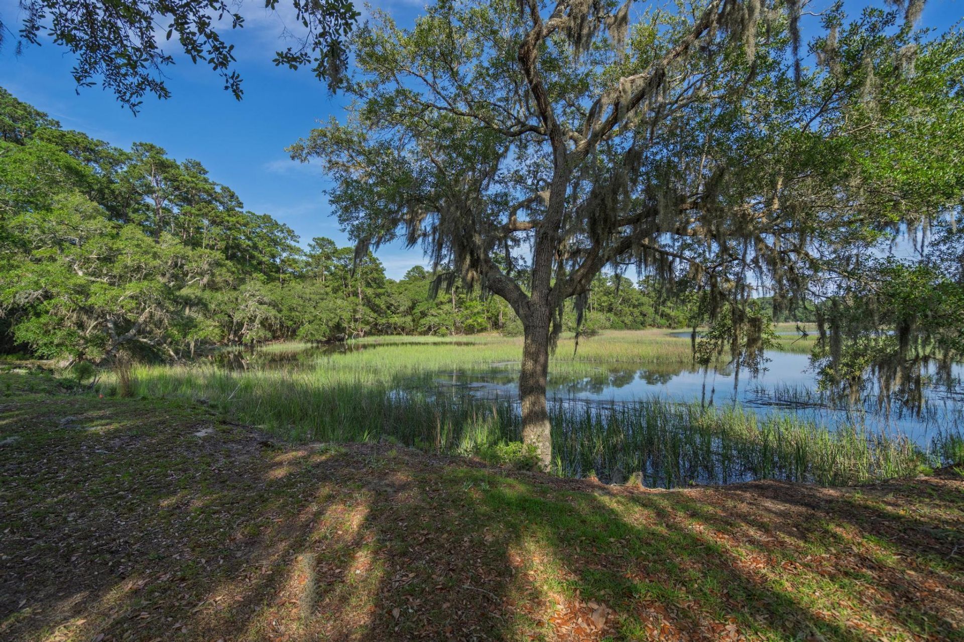1513 Highway 174 Photo 48