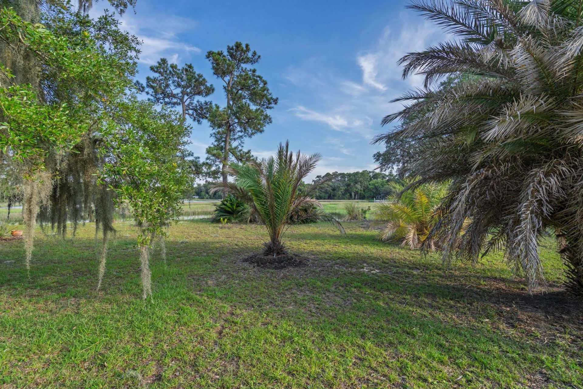 1513 Highway 174 Photo 62