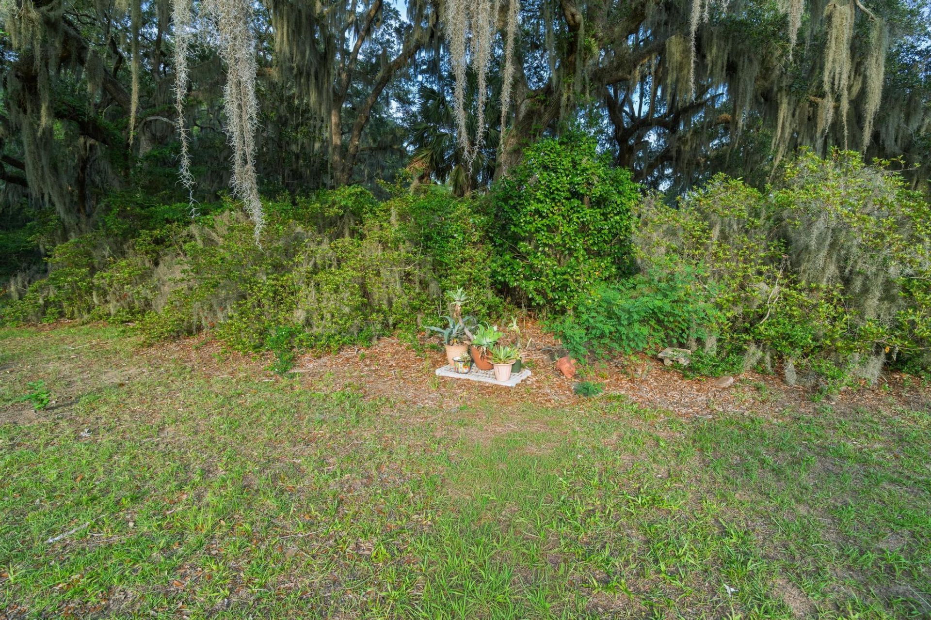 1513 Highway 174 Photo 70