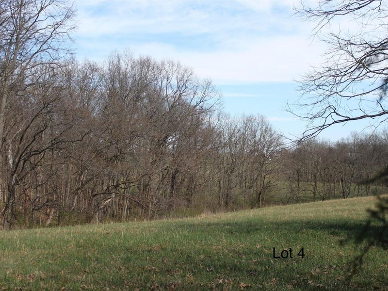 2316 Kentucky 1743 HWY, Cynthiana, KY 41031 Photo 3