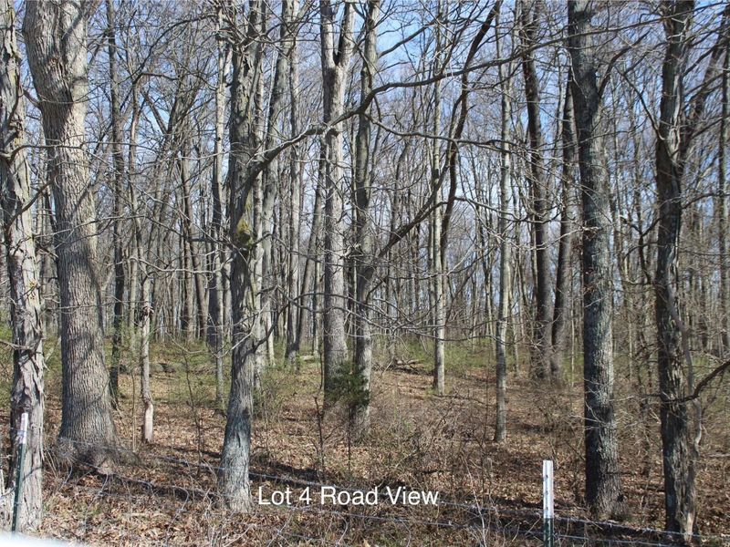 2316 Kentucky 1743 HWY, Cynthiana, KY 41031 Photo 7