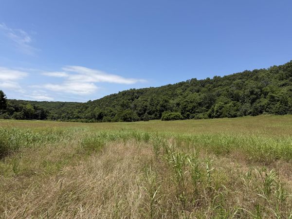 000 Northfork Village St. Lot 1 Street , Tecumseh, MO 65760