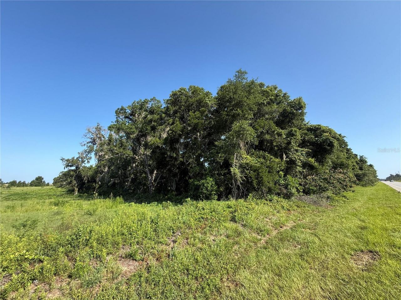 Xx SW 80th Avenue, Ocala, FL 34476 Photo