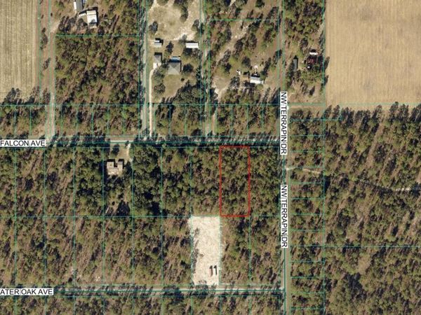 00 NW FALCON AVENUE , DUNNELLON, FL 34431