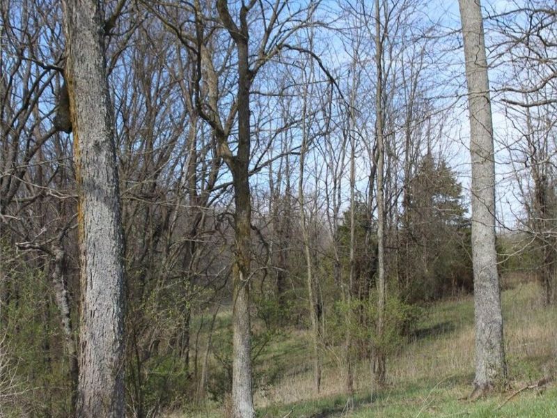 2128 Kentucky 1743 HWY, Cynthiana, KY 41031 Photo 6